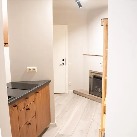 Dandelion Caka Apartment *
