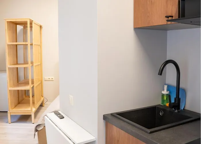 公寓 Dandelion Caka 里加