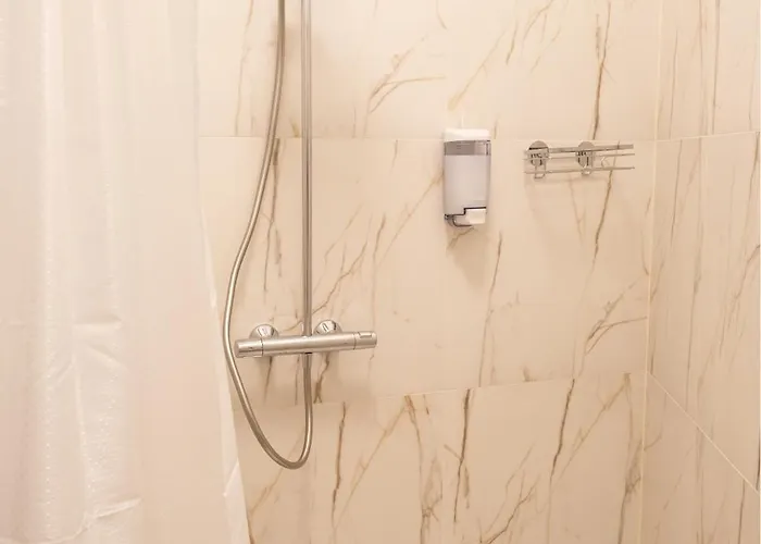 Dandelion Caka 公寓 里加