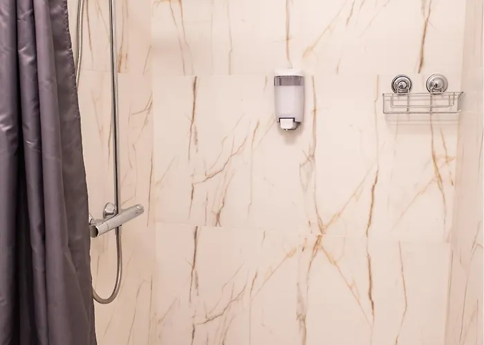 Dandelion Caka 公寓 里加