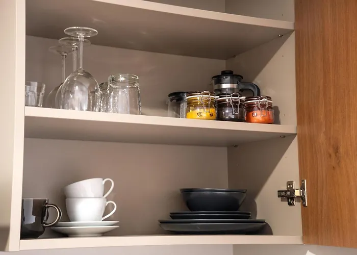 Dandelion Caka 里加