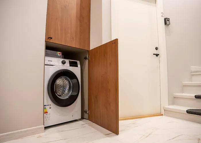 公寓 Dandelion Caka 里加